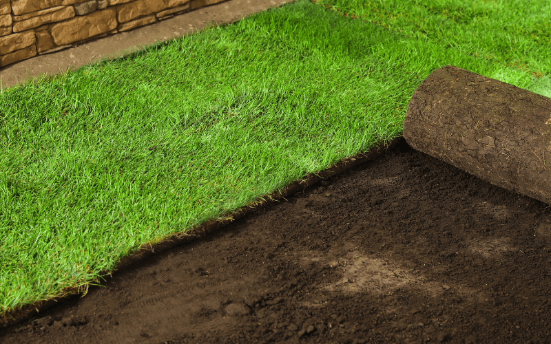 Sod Installation Services in Newport, RI