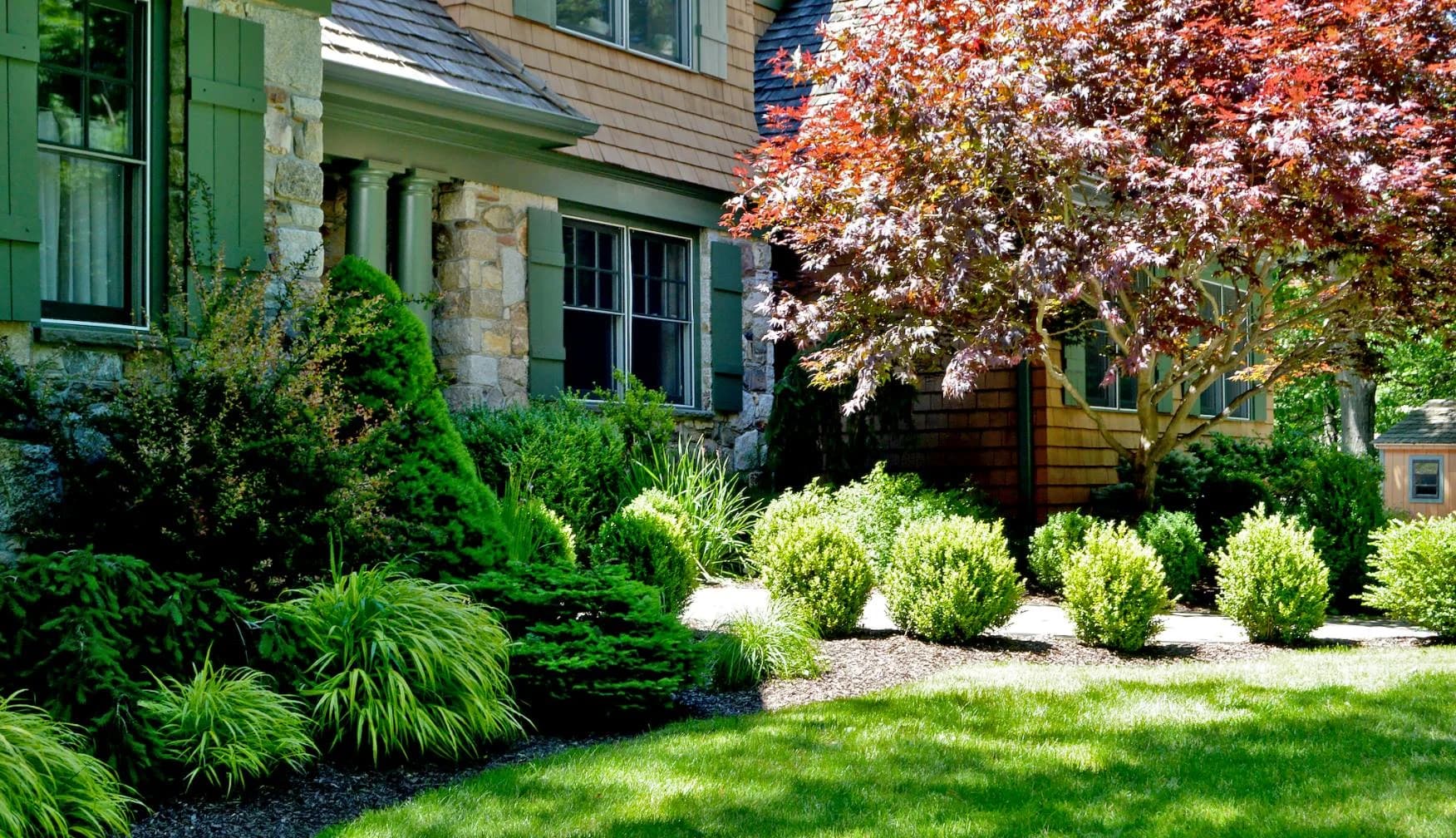 Tree & Shrub Planting Services in Newport, RI